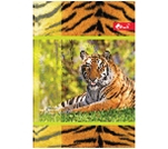 Фото - Блокнот А6  64 л. об. цв. матов. ламин с УФ-лаком, блок оф. имп. 60г/м2, клетка, тв. пер. Голландия 305