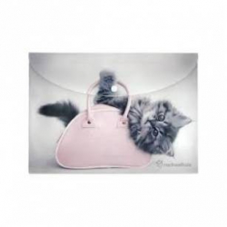 Фото - Папка на кнопке  А4, RH 22032