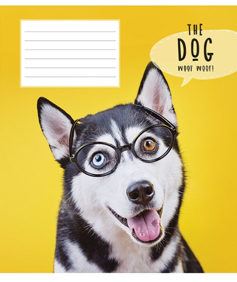 Фото - Зошит 12арк. клітинка, 2024, в ас. ШКОЛЯРИК (уп.30/ящ.300) 10546