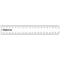 Фото - Лінійка YES 20 см прозора (уп.48) 15004