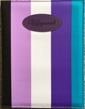 Фото - Щоденник шкільний SD861, 170*213 мм, обкладинка кожзам, 48аркушів 45816