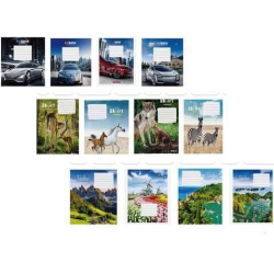 Зошит 24арк. клітинка 2024, в ас. ШКОЛЯРИК (уп.25)