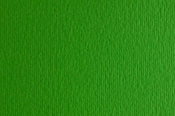Фото - Папір для дизайну Elle Erre B1 (70*100см), №11 verde, 220г/м2, зелений, дві текстури, Fabriano 44832