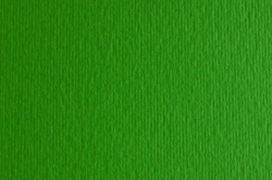 Папір для дизайну Elle Erre B1 (70*100см), №11 verde, 220г/м2, зелений, дві текстури, Fabriano