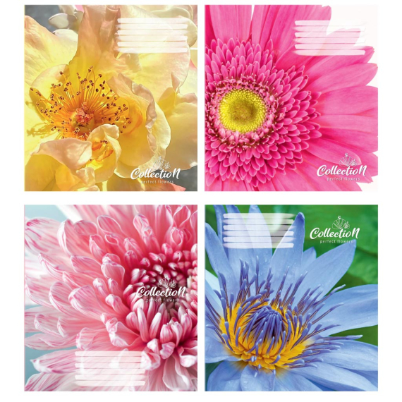 Фото - Зошит учнівський повноколірний 12 арк клітина, в асорт2023 (уп.32/ящ.512) 62266 Фото - Зошит учнівський повноколірний 12 арк клітина, в асорт2023 (уп.32/ящ.512) 62266