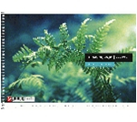 Альбом для рис. 40л спираль120 г/м2 &quot;Школярик&quot; (ящ.54)