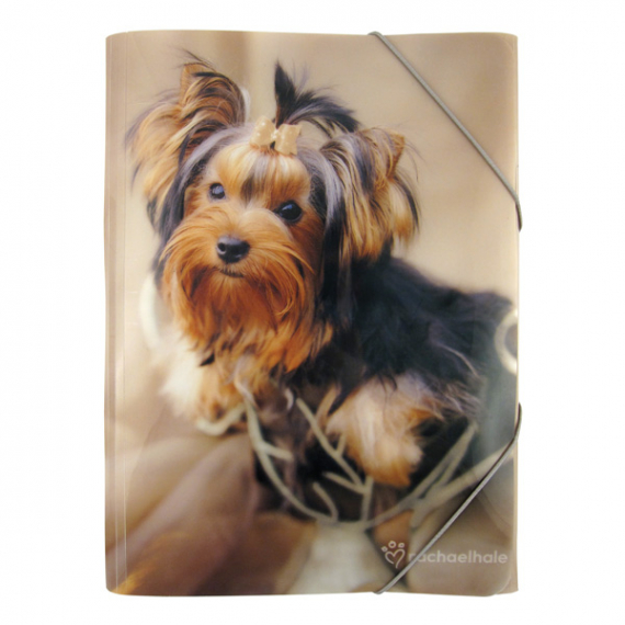 Фото - Папка на гумках А4, PP 24294 Фото - Папка на гумках А4, PP 24294