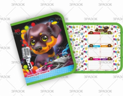 Фото - Папка для зошитів В5 (на блискавці) 'АП' (уп.6) 2363 Фото - Папка для зошитів В5 (на блискавці) 'АП' (уп.6) 2363