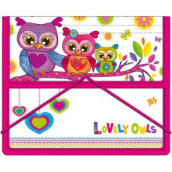 Фото - Папка для тетрадей пласт. на резинке  В5 'Совушка' 27187