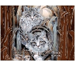 Альбом для рис. 40л/140 склейка ВДЛ+гологр.фольга+УФYES ПРОФ (уп.5)