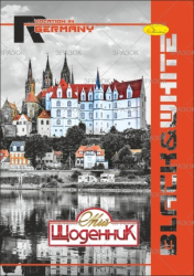 Фото - Щоденник учнівський 'Сендвіч' (друк 4+4, блок-офсет 65 г/м2) 'АП' (уп.16) 2397