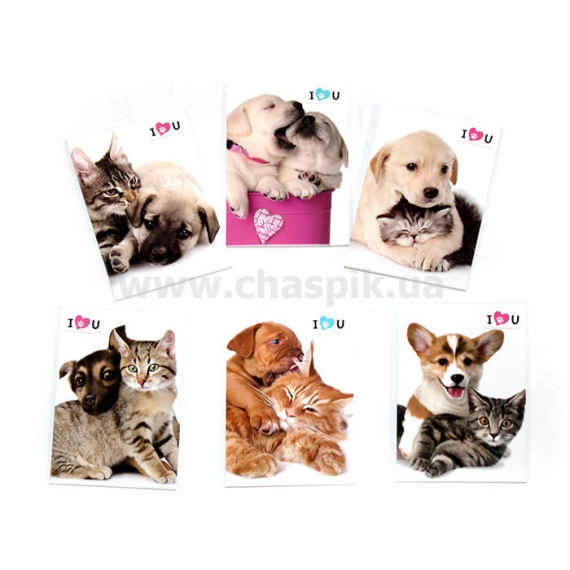 Фото - Блокнот дитячий 83x60mm, 60g, 40 л, Котики-Песики /48 в дисплеї/ 35177