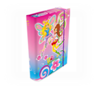 Папка для праці на гумках А4 кольор. ламін., палітурка картон (уп.5)