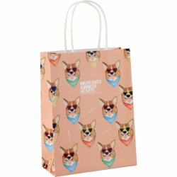 Фото - Пакет паперовий подарунковий, 18х24см BBH-2 50212