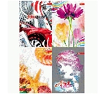 Фото - Тетрадь А5 72л. обложка цветная ламин, блок офсет имп. 60г/м2, клетка, твёрд. переплёт (уп.15) 459