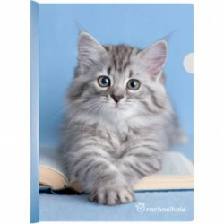 Фото - Скоросшиватель с планкой А4, RH 22040