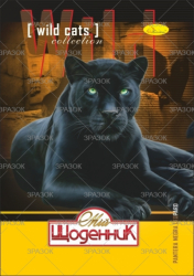 Фото - Щоденник учнівський 'Сендвіч' (друк 4+4, блок-офсет 65 г/м2) 'АП' (уп.16) 2397