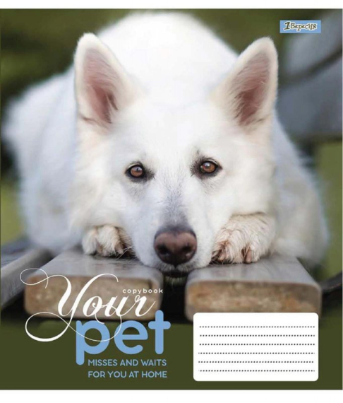 Фото - А5/48 кл. 1В Dog loyality, зошит для записів 57699 Фото - А5/48 кл. 1В Dog loyality, зошит для записів 57699