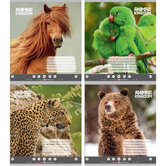 Фото - Зошит учнівський повноколірний 18 арк лінія,асорт2023 (уп.32/ящ.372) 62268