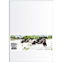 Фото - Картон Білосніжний А4 10арк. в пакеті КА4010Е 21093